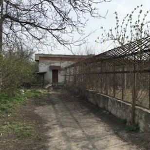 м. Рівне вул. Боярка, 54б. Оренда приміщення теплиці площею 210,80 кв.м. (В)