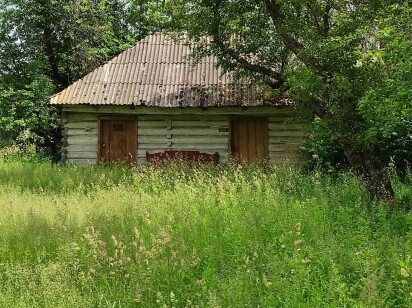 Чернігівська обл., смт Срібне, вул. Шевченка, 29. Оренда – комплекс будівель площею 71,5 кв.м. (В)
