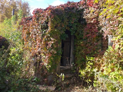 Сумська обл., Роменський р-н, с. Козельне, вул. Кошового, буд. 3. Оренда – нежитлове приміщення площею 24,40 кв.м. (В)