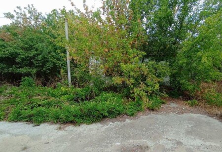 Одеська обл., Подільський р-н, с. Пиріжна, вул. Шевченка, 4в. Оренда – приміщення будівлі площею 45,30 кв.м (В)