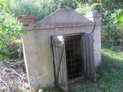 Вінницька обл., Тульчинський р-н, с. Кинашів, вул. Желюка, 7. Оренда – погріб площею 29,40 кв.м. (В)