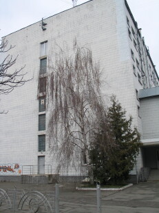 ДОВГОСТРОКОВА ОРЕНДА! м. Київ, вул. Героїв Севастополя, 39/8 літ. «Е»;  Оренда – приміщення 2-го та 4-го поверхів, площею 1751,8 кв.м. (В)