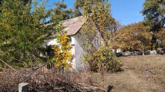Дніпропетровська обл. Царічанський р-н. с-ще. Залелія, вул.Чкалова, 9б. Оренда – група приміщень 1-поверхової будівлі площею 48,1 кв.м (В)